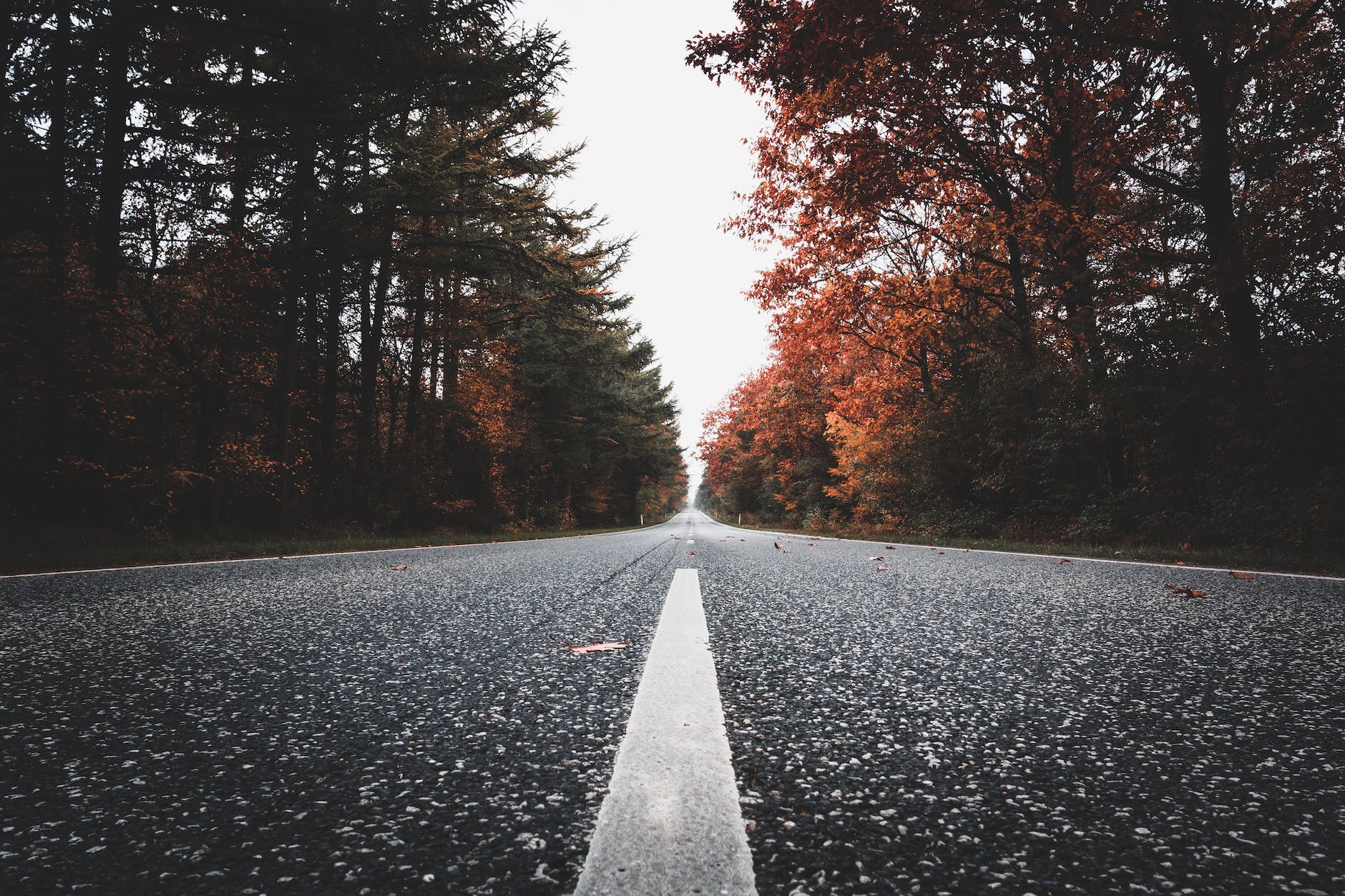 From Vision to Reality: Starting Your Digital Transformation Journey